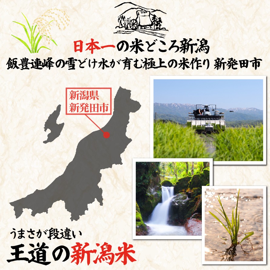 こしひかり 無洗米 20kg 令和7年産 甘うま越後の コシヒカリ 米 お米 こめ 新潟米 新潟県産 新潟産 新潟 新潟県 新発田産 新発田 新発田市 斗伸 toushin033