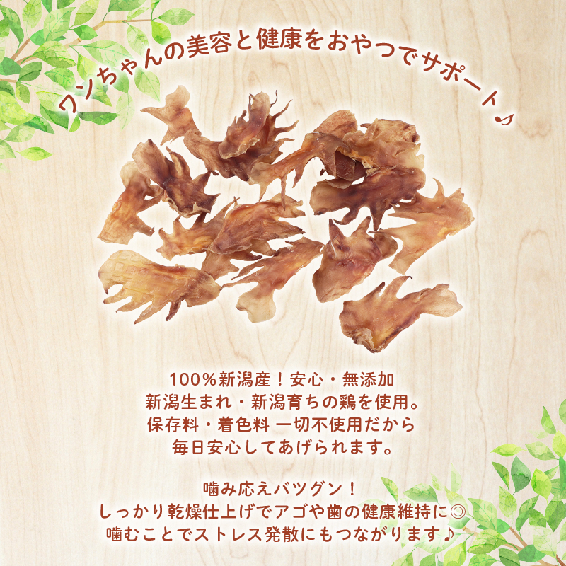 ããã°ããŒã ãšãã现åã 300g ã é¶ ãšãã ããã¯ããŒã 现åã ããã ãã〠ãããçšå ç¬çš ç¡æ·»å ç¡çè² åœå
補é å®å¿ å®å
š èªç¶é£å ã±ãŒãã£ãŒã³ã¢ãã£ã㣠KT æ°æœç æ°çºç°åž KT050 ã