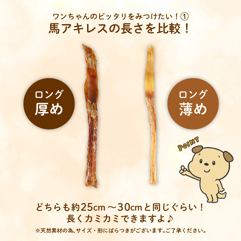 ドッグフード 馬アキレスロング 10本 2本入×5袋【 馬 ドックフード アキレス ロング ペット おやつ ペット用品 犬用 無添加 無着色 安心 安全 自然食品 KT012 】