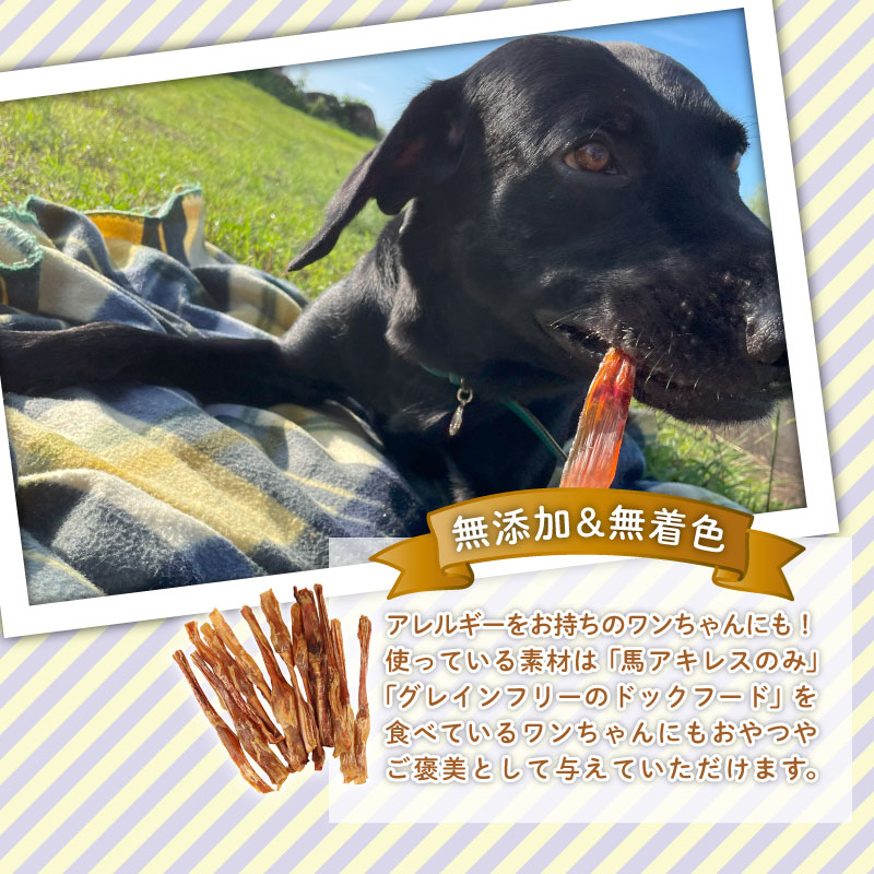 ドッグフード 馬アキレスロング 20本 2本入×10袋【 馬 ドックフード アキレス ロング ペット おやつ ペット用品 犬用 無添加 無着色 安心 安全 自然食品 KT013 】