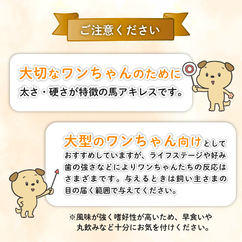 ドッグフード 馬アキレスロング 10本 2本入×5袋【 馬 ドックフード アキレス ロング ペット おやつ ペット用品 犬用 無添加 無着色 安心 安全 自然食品 KT012 】