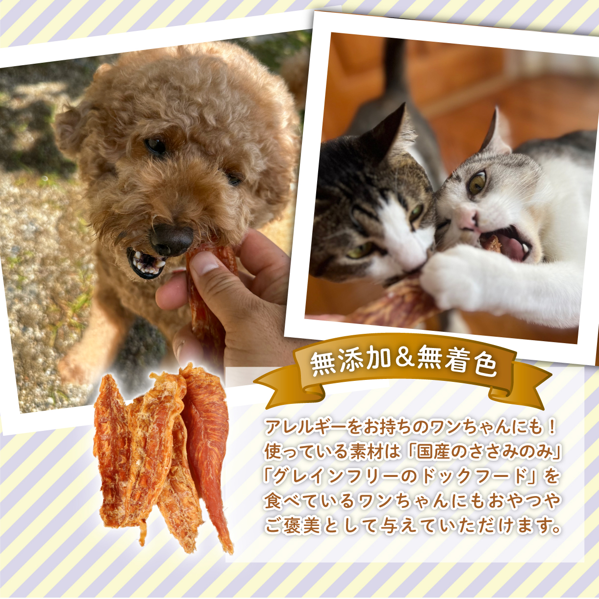 鶏ささみ ジャーキー 1.5kg 150g×10袋 無添加 無着色 ドックフード 鶏ささみジャーキー ペット おやつ 小分け ペット用品 犬用 猫用 鶏肉 ささみ 低温乾燥 自然食品 安心安全 ジャーキー 150g 10袋 KT004