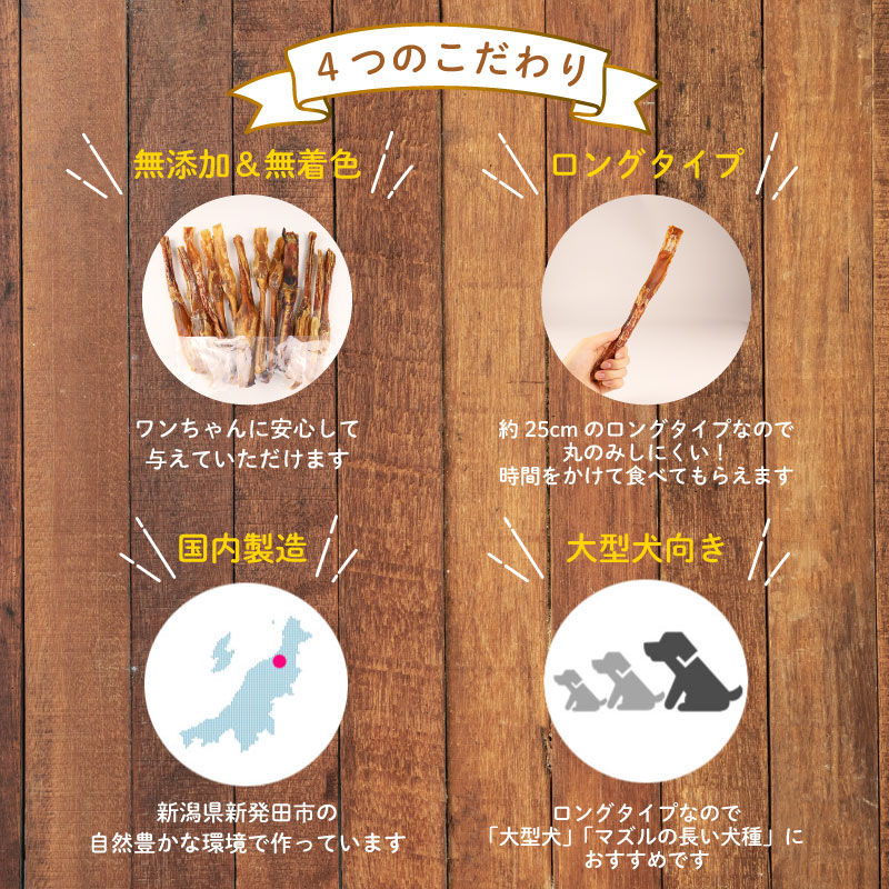 ドッグフード 馬アキレスロング 10本 2本入×5袋【 馬 ドックフード アキレス ロング ペット おやつ ペット用品 犬用 無添加 無着色 安心 安全 自然食品 KT012 】