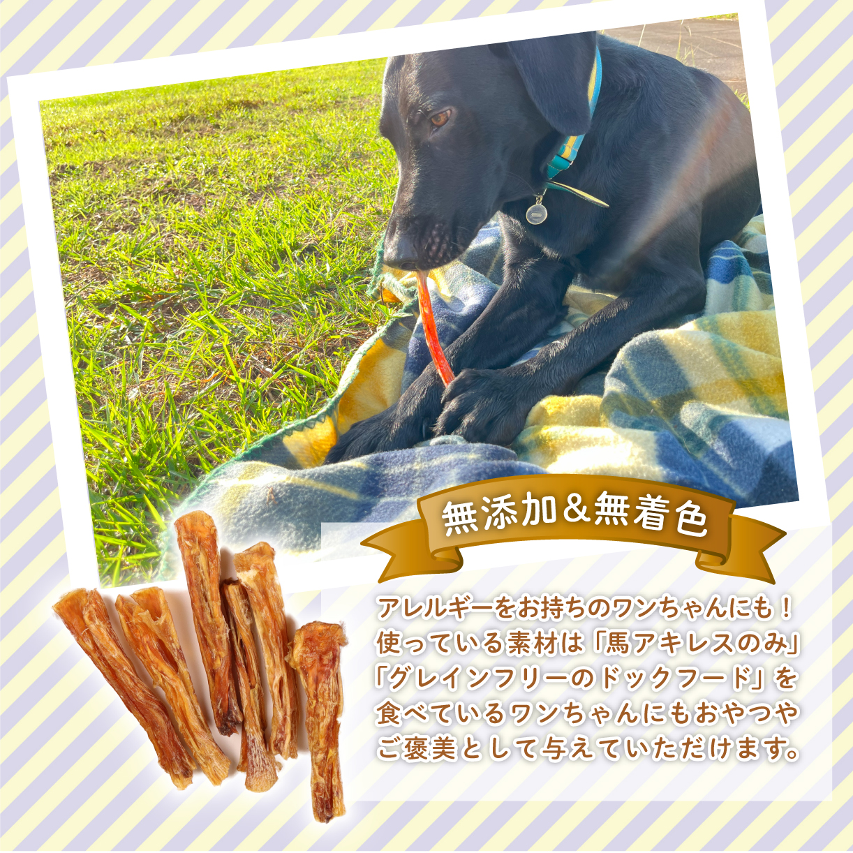 繝峨ャ繧ー繝輔シ繝 鬥ャ繧「繧ュ繝ャ繧ケ繧キ繝ァ繝シ繝 400g 1陲九縲 鬥ャ 繝峨ャ繧ッ繝輔シ繝 繧「繧ュ繝ャ繧ケ 繧キ繝ァ繝シ繝 繝壹ャ繝 縺翫d縺、 繝壹ャ繝育畑蜩 迥ャ逕ィ 400g 1陲 辟。豺サ蜉 辟。逹濶イ 螳牙ソ 螳牙ィ 閾ェ辟カ鬟溷刀 KT020 縲