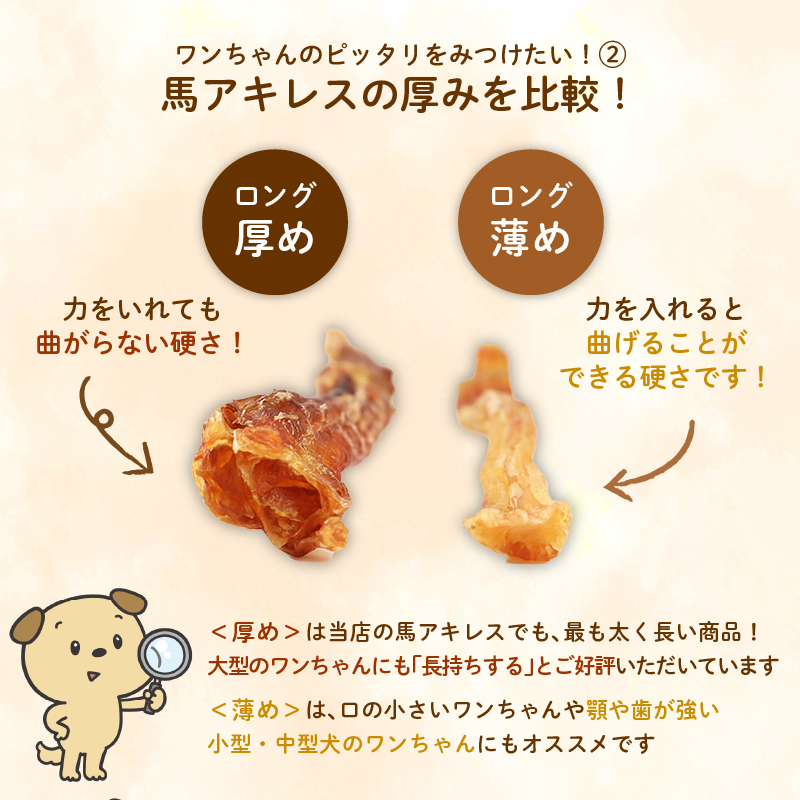 ドッグフード 馬アキレスロング 10本 2本入×5袋【 馬 ドックフード アキレス ロング ペット おやつ ペット用品 犬用 無添加 無着色 安心 安全 自然食品 KT012 】