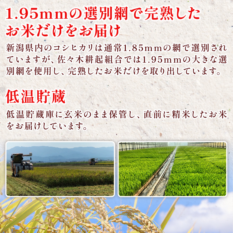 餅 お餅 もち えちごへいや 杵つき餅 バラエティセット もち 季節限定 正月 おせち もち 草もち 豆もち よもぎ くるみ エビ えび 海老 コシヒカリ 米 防災 備蓄 保存食 非常食 正月 餅 おせち 佐々木耕起 お餅 もち kome 年末 年始 新年 お雑煮 新潟県 新潟 新発田 C36_03