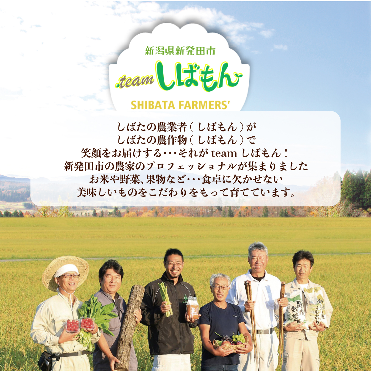 年3回 お届け 野菜 果物 旬 お楽しみセット 約10~13種類 通年受付 詰め合わせ ほうれん草 水菜 アスパラガス トマト オクラ ぶどう もも さといも オータムポエム りんご にんじん 大根 リーフレタス にんにく新潟 新発田 野菜 セット 通年 季節 旬 お楽しみ C17_01 