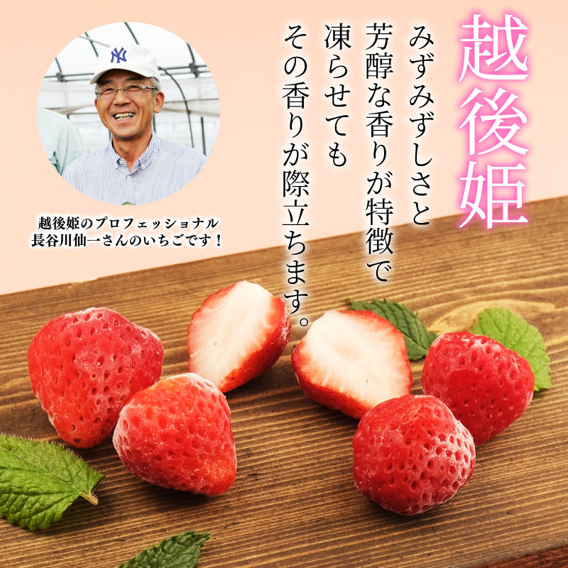 【 冷凍いちご 越後姫 800g 】 200g × 4パック 越後姫 いちご 苺 冷凍苺 かき氷 シャーベット スムージー ヨーグルト 果物 くだもの 人気 冷凍フルーツ フルーツ デザート お菓子 夏 新潟県 新発田市 imagawaya017
