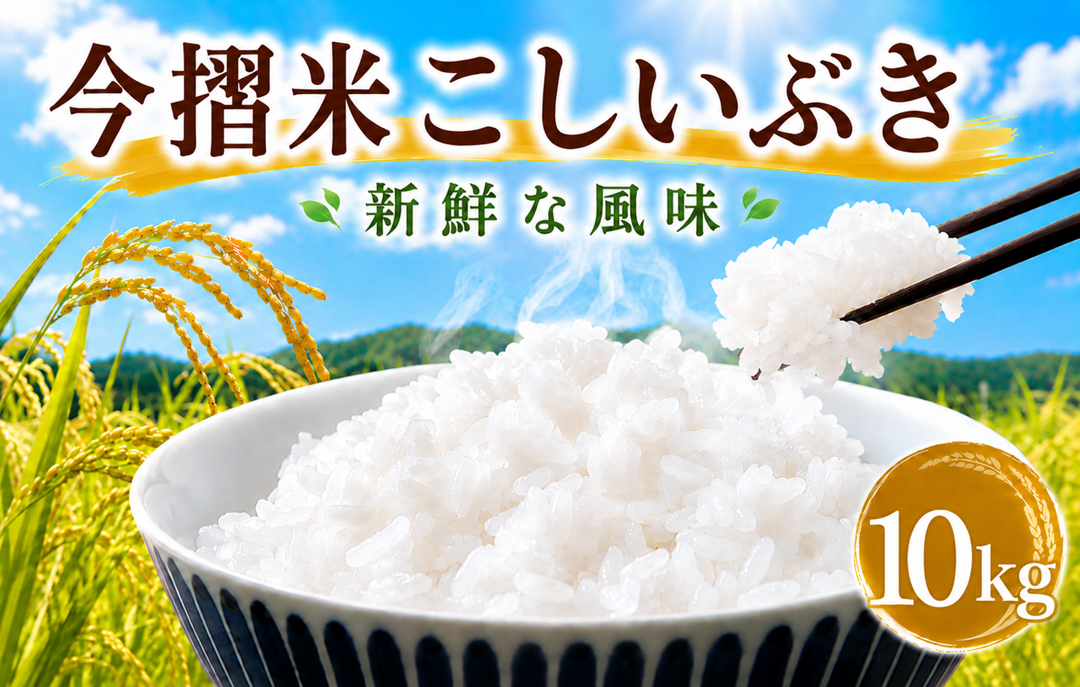 今摺米 こしいぶき 10kg （ 5kg × 2袋 ） 令和7年産 JA ブランド米 米 お米 米10kg 精米 いまずりまい ごはん こめ おむすび おにぎり 弁当 おかず 色彩選別 鮮度 雪解け水 贈答 ギフト 国産 新潟 新発田 JA北新潟 こったま～や JA012