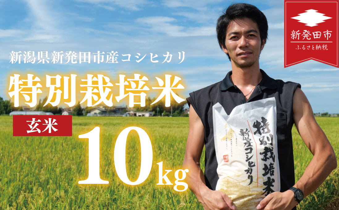 先行予約 コシヒカリ 玄米 10kg 令和7年産 特別栽培米 こしひかり 米 お米 こめ 新潟米 新潟県産 新潟産 新潟 新潟県 新発田産 新発田 新発田市 斗伸 toushin029