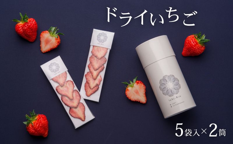 【先行予約】ドライいちご 10袋 国産 スライス 小分け 常温 越後姫 フルーツ 果物 ドライ いちご 苺 ドライフルーツ 贈答 プレゼント ギフト おつまみ Ichi-Rin 苺禀 新潟県 新発田市 J01_01