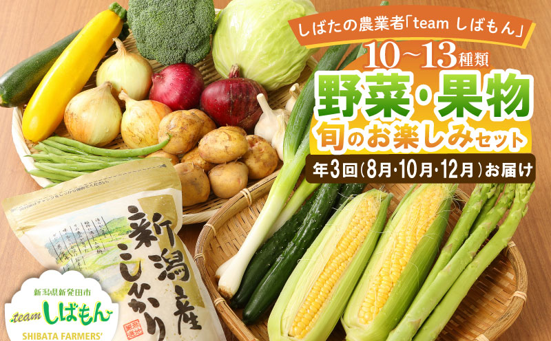 年3回 お届け 野菜 果物 旬 お楽しみセット 約10~13種類 通年受付 詰め合わせ ほうれん草 水菜 アスパラガス トマト オクラ ぶどう もも さといも オータムポエム りんご にんじん 大根 リーフレタス 米 コシヒカリ みそ にんにく辛みそ ジャム 新潟 新発田 野菜 セット 通年 季節 旬 お楽しみ C17_01