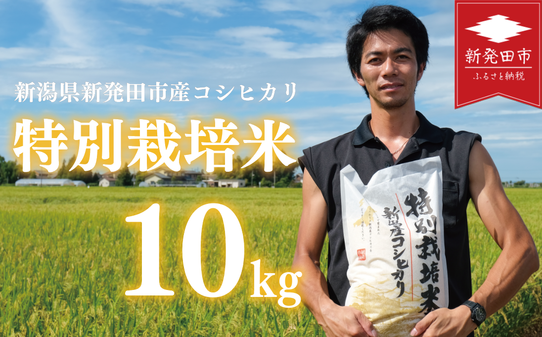 先行予約 コシヒカリ 白米 10kg 令和7年産 特別栽培米 こしひかり 米 お米 こめ 新潟米 新潟県産 新潟産 新潟 新潟県 新発田産 新発田 新発田市 斗伸 toushin012_02
