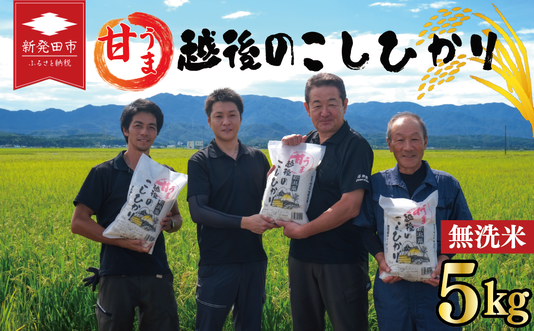 先行予約 こしひかり 無洗米 5kg 令和7年産 甘うま越後の コシヒカリ 米 お米 こめ 新潟米 新潟県産 新潟産 新潟 新潟県 新発田産 新発田 新発田市 斗伸 toushin003_02