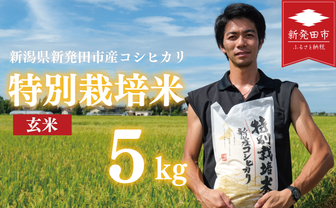 先行予約 コシヒカリ 玄米 5kg 令和7年産 特別栽培米 こしひかり 米 お米 こめ 新潟米 新潟県産 新潟産 新潟 新潟県 新発田産 新発田 新発田市 斗伸 toushin028