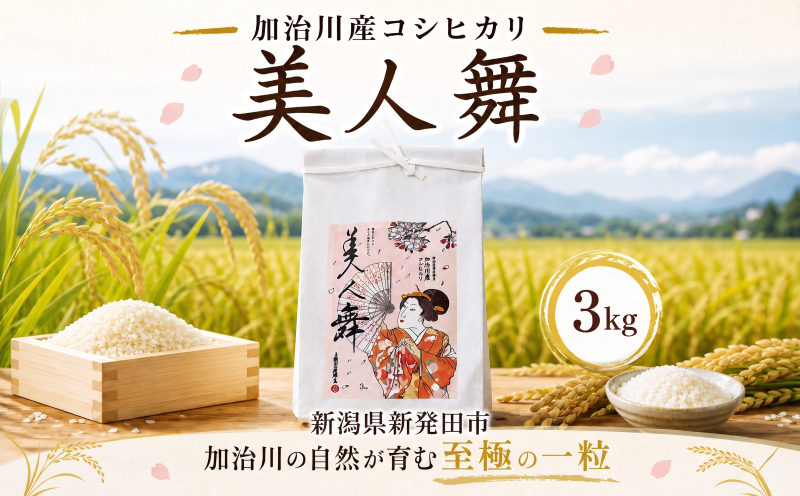 【美しさピカイチ】令和7年産 コシヒカリ ３㎏ 精米 こしひかり 米 お米 こめ ごはん ご飯 ライス 朝食 昼食 夕飯 炊きたて 希少 プレミアム 美人舞 こだわり 美しさ かがやき 輝き JGAP GAP認証 和食 自然 加治川 加治川産 新潟産 新潟 新潟県 新発田産 新発田市 新発田  アグリ加治川 agk010