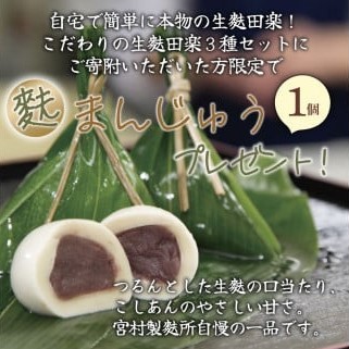 麩まんじゅうのおまけ付！ 生麩田楽 3種 セット 冷凍 麩 生麩 田楽 3種 宮村製麩所 生麩 こだわり 簡単 田楽味噌 人気 おもてなし 本格 年末 年始 御歳暮 お中元 ギフト プレゼント 父の日 母の日 贈り物 新発田 新潟 おつまみ I25_01