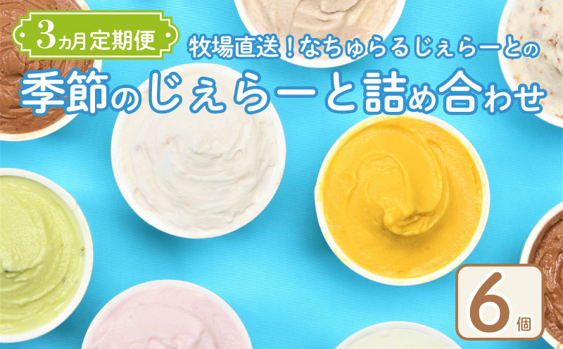 ジェラート 定期便 6個入 3回 ミルク ミルクチョコ 塩キャラメル 緑茶 お茶 季節 ジェラート 季節限定 アイス ジェラート セット 手作り  6個 なちゅらるじぇらーと なかの牧場 新潟 新発田 nakano004