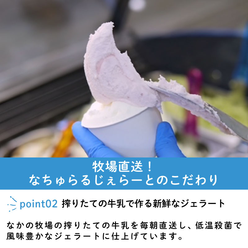 ジェラート  6個入 ミルク ピスタチオ 塩 キャラメル 塩キャラメル いちご 苺 越後姫 ラム レーズン  緑茶 お茶 アイス ジェラート セット 手作り  6個 なちゅらるじぇらーと なかの牧場 新潟 新発田 nakano001 