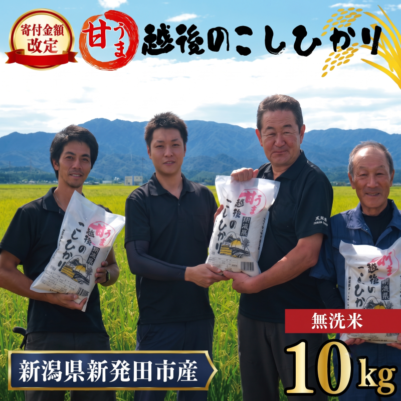 【寄付金額改定】こしひかり 無洗米 10kg 令和7年産 甘うま越後の コシヒカリ 米 お米 こめ 新潟米 新潟県産 新潟産 新潟 新潟県 新発田産 新発田 新発田市 斗伸 toushin013_04