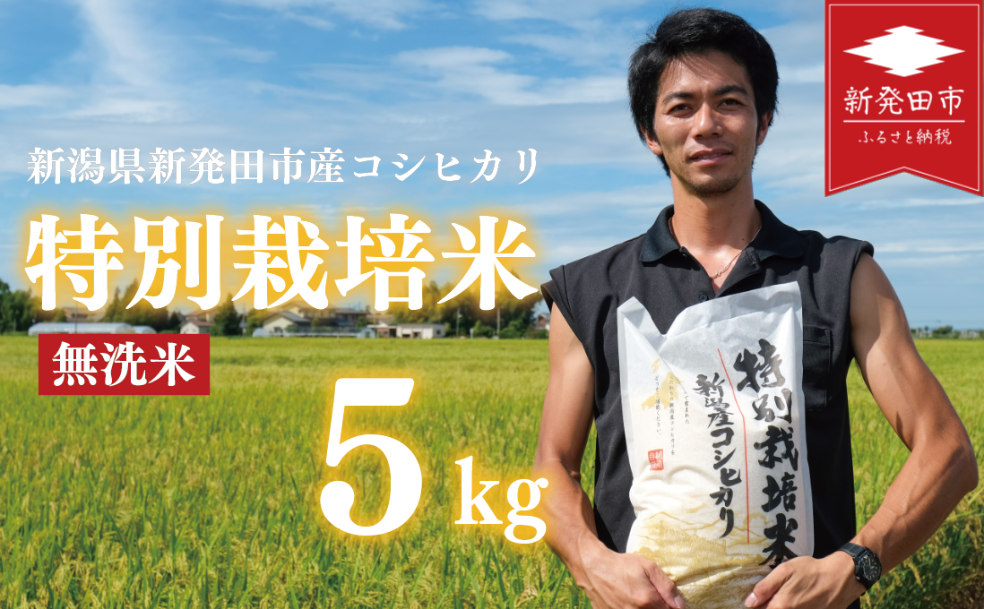 先行予約 コシヒカリ 無洗米 5kg 令和7年産 特別栽培米 こしひかり 米 お米 こめ 新潟米 新潟県産 新潟産 新潟 新潟県 新発田産 新発田 新発田市 斗伸 toushin001_02