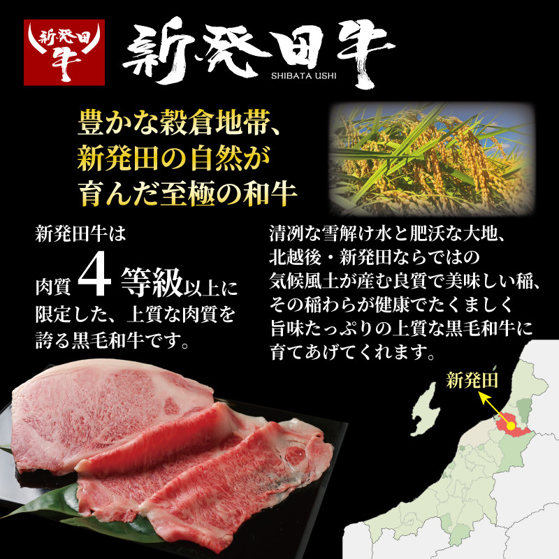 ヒレ肉 ヒレ ステーキ 1.6kg フィレ にいがた和牛 牛肉 和牛 新発田牛 赤身 焼肉 ふるさと納税 和牛 BBQ キャンプ 特選 贅沢 厳選和牛 ブランド牛 ギフト 贈答 お歳暮  新潟 新潟県 新潟産 新発田 新発田市 新発田産 アルビレックス アルビレックス新潟 えのもとミート