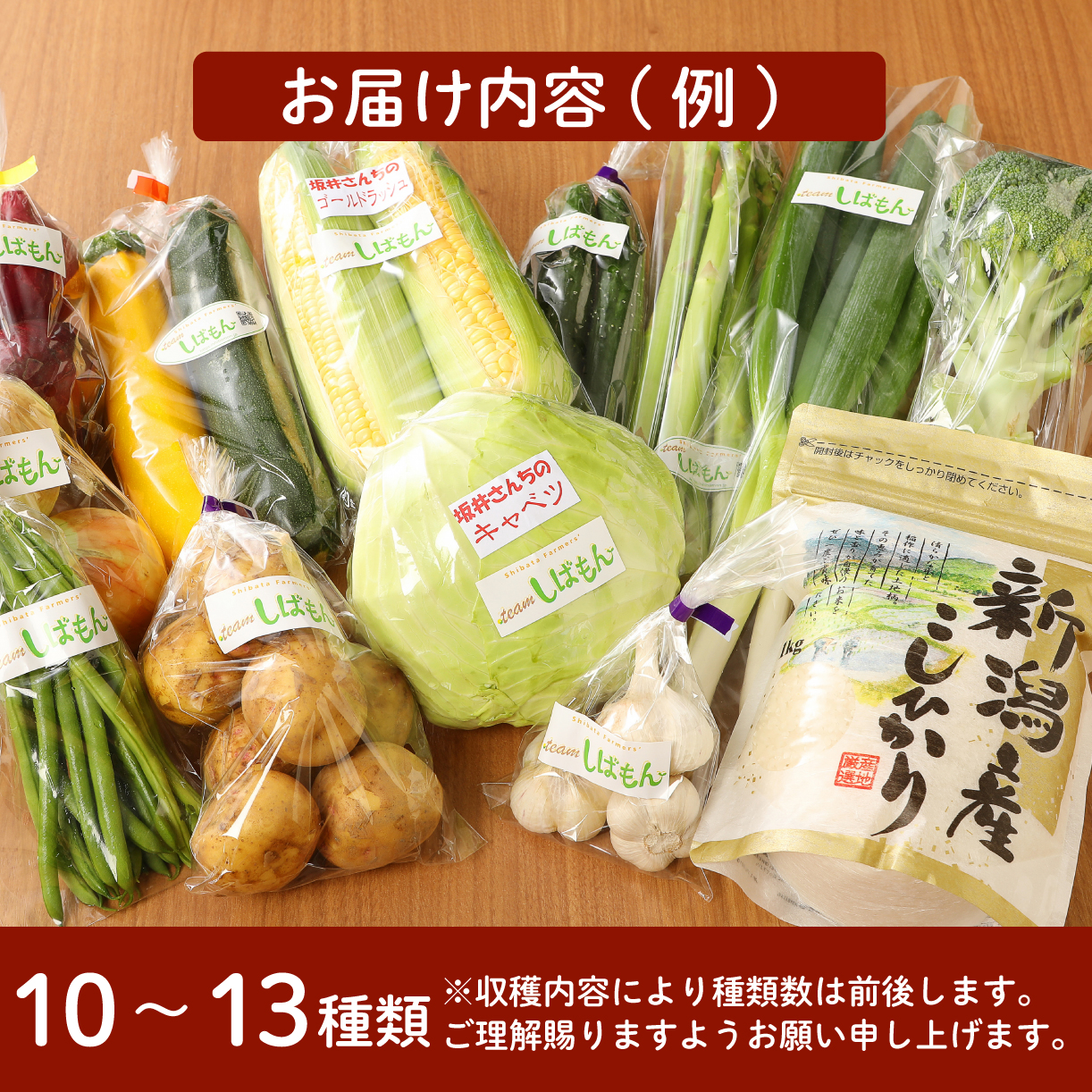 年3回 お届け 野菜 果物 旬 お楽しみセット 約10~13種類 通年受付 詰め合わせ ほうれん草 水菜 アスパラガス トマト オクラ ぶどう もも さといも オータムポエム りんご にんじん 大根 リーフレタス にんにく新潟 新発田 野菜 セット 通年 季節 旬 お楽しみ C17_01 