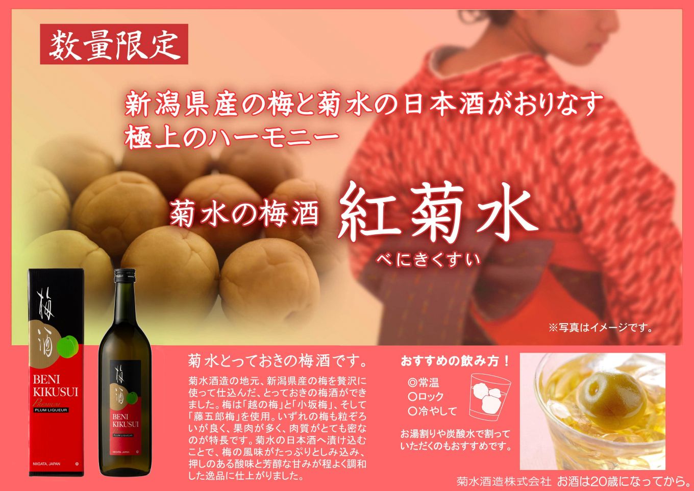 èæ°Ž çŽç±³é
ã§ä»èŸŒãã èµå
ãã ããã®æ¢
é
çŽ
èæ°Ž 720mlÃ2æ¬ æ¢
é
ãé
é
æ¥æ¬é
æ¢
å°é
çŽ
èæ°Ž çŽç±³é
ãªãã¥ãŒã« èæ°Ž æ°æœ æ°çºç°åž ãã ãã éžå èŽç ã®ãã ãã¬ãŒã³ã ç¶ã®æ¥ ãç¥ ãäžå
ãæ³æ® ãæ£æ 幎æ«å¹Žå§ E112_01