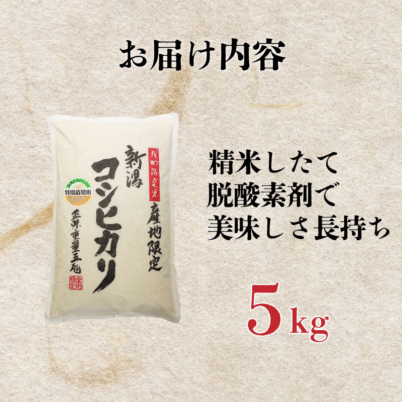 ã12æçºéã æ°æœçç£ ç¹å¥æ œå¹ç±³ ã³ã·ãã«ãª 5kg 什å7å¹Žç£ ããã²ãã ç¹æ œç±³ ç±³ æ°ç±³ æå²¡ æž©æ³ ãç±³ ãã ã飯 ãã¯ã ãããã æ°æœç±³ æ°æœ æ°æœç ç±³ æ°çºç°ç£ æ°æœç£ æé£ æŒé£ å€é£¯ çãã㊠粟米 watasho004_202512