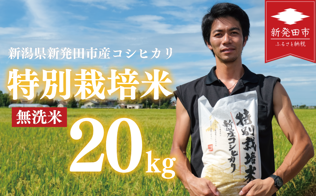 先行予約 コシヒカリ 無洗米 20kg 令和7年産 特別栽培米 こしひかり 米 お米 こめ 新潟米 新潟県産 新潟産 新潟 新潟県 新発田産 新発田 新発田市 斗伸 toushin025