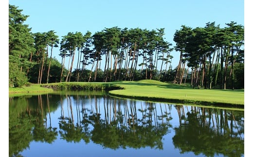 ãŽã«ãå Ž æ°çºç°åž å©çšåž 120,000åå (1,000åÃ120æ) æè¬åž ãŽã«ã ãã±ãã æ°æœ åžå
å©çš å¯ ãŽã«ãå Žå©çšåž ãã¬ãŒåž æœèšå©çšåž ãããµ golf åéž æž©æ³ æ
è¡ æ
è¡åž 宿æ³åž å©çšåž å®¿æ³ æå²¡ éå ã¹ããŒã 倧人