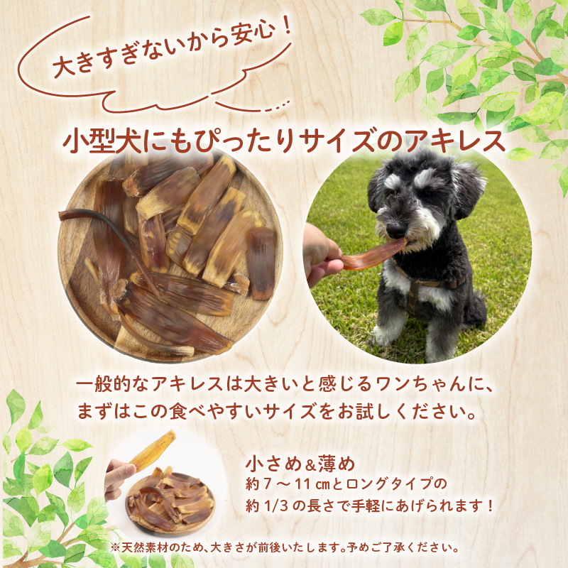 ããã°ããŒã 銬ã¢ãã¬ã¹ã·ã§ãŒãå¹³æ¿ 100g ã 銬 ããã¯ããŒã ã¢ãã¬ã¹ ã·ã§ãŒã å¹³æ¿ ããã ãã〠ãããçšå ç¬çš ç¡æ·»å ç¡çè² åœå
補é å®å¿ å®å
š èªç¶é£å ã±ãŒãã£ãŒã³ã¢ãã£ã㣠KT æ°æœç æ°çºç°åž KT031 ã