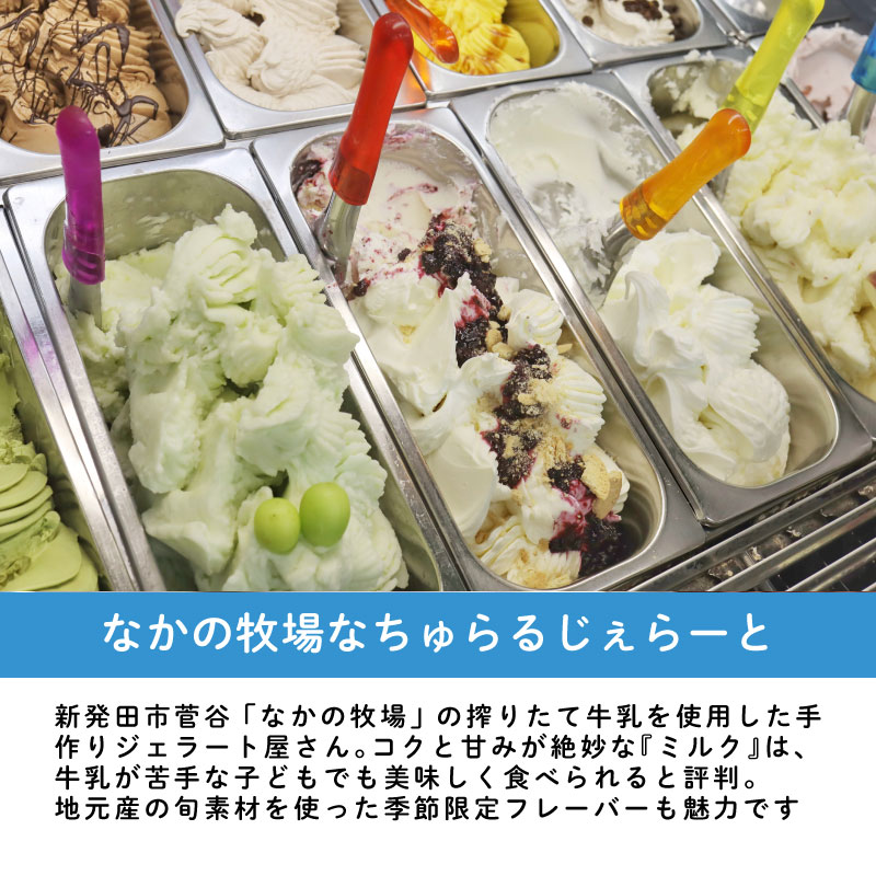 なかの牧場なちゅらるじぇらーとセット ８個入  【 ミルク チョコ ブルーベリー チーズ ピスタチオ 塩 キャラメル アイス ジェラート セット 季節 てづくり なちゅらるじぇらーと なかの牧場 8個 F04_01 】