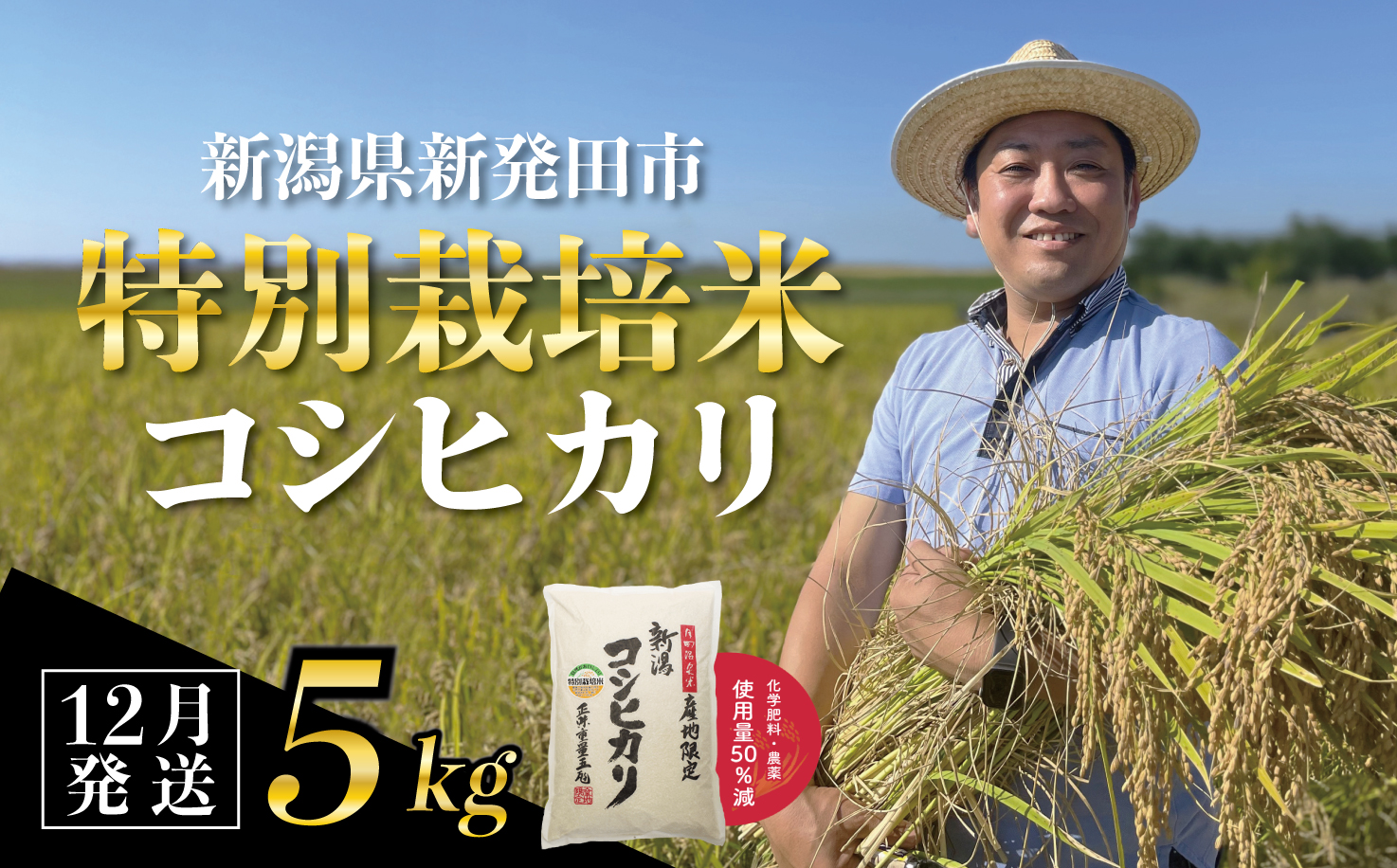 【12月発送】 新潟県産 特別栽培米 コシヒカリ 5kg 令和7年産 こしひかり 特栽米 米 新米 月岡 温泉 お米 こめ ご飯 ごはん おいしい 新潟米 新潟 新潟県 米 新発田産 新潟産 朝食 昼食 夕飯 炊きたて 精米 watasho004_202512