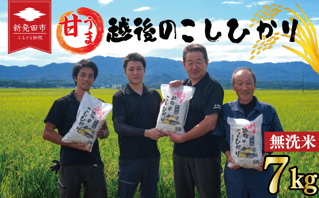 先行予約 こしひかり 無洗米 7kg 令和7年産 甘うま越後の コシヒカリ 米 お米 こめ 新潟米 新潟県産 新潟産 新潟 新潟県 新発田産 新発田 新発田市 斗伸 toushin005_02