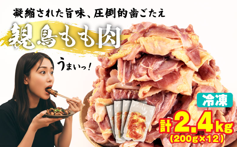親鶏 もも肉 2.4kg 200g × 12 パック 鶏肉 鶏 チキン  タンパク もも 肉 とり にく お家ごはん 国産 県産 親鳥 鳥肉 精肉 ブランド鶏 鍋 汁物 郷土食 新潟親鶏 冷凍 小分け 新潟産 新発田産 マルコ岩村 新潟県 新発田市