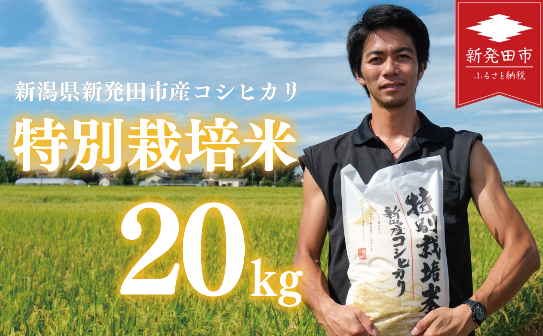 先行予約 コシヒカリ 白米 20kg 令和7年産 特別栽培米 こしひかり 米 お米 こめ 新潟米 新潟県産 新潟産 新潟 新潟県 新発田産 新発田 新発田市 斗伸 toushin027