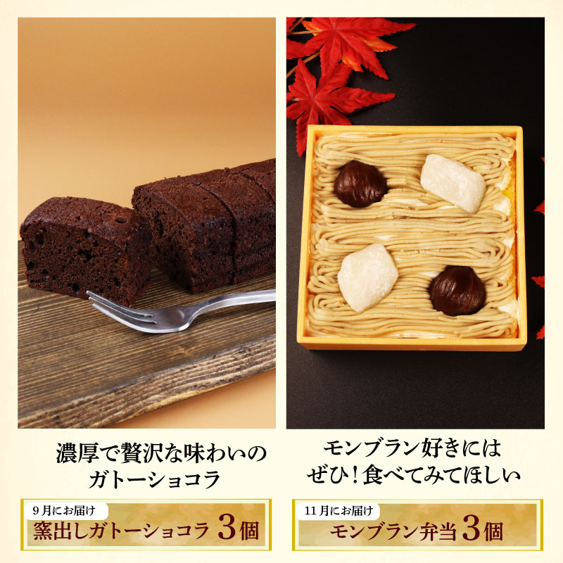 スイーツ 定期便 全6回 チーズケーキ ガトーショコラ モンブラン 葛アイス どら焼き あんこ 生クリーム アイス チーズ お菓子 デザート おやつ 新柳本店 新潟 新発田 sinyanagi005