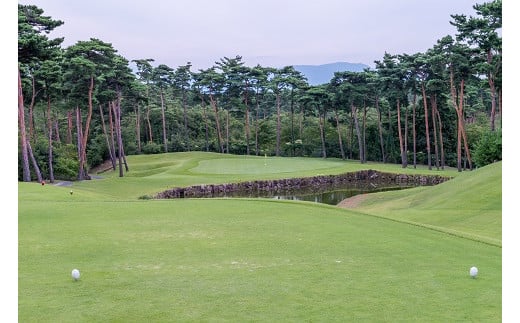 ゴルフ場 新発田市 利用券 300,000円分 (1,000円×300枚) 感謝券 ゴルフ チケット 新潟 市内 利用 可 ゴルフ場利用券 プレー券 施設利用券 ごるふ golf 北陸 温泉 旅行 旅行券 宿泊券 利用券 宿泊 月岡 運動 スポーツ 大人