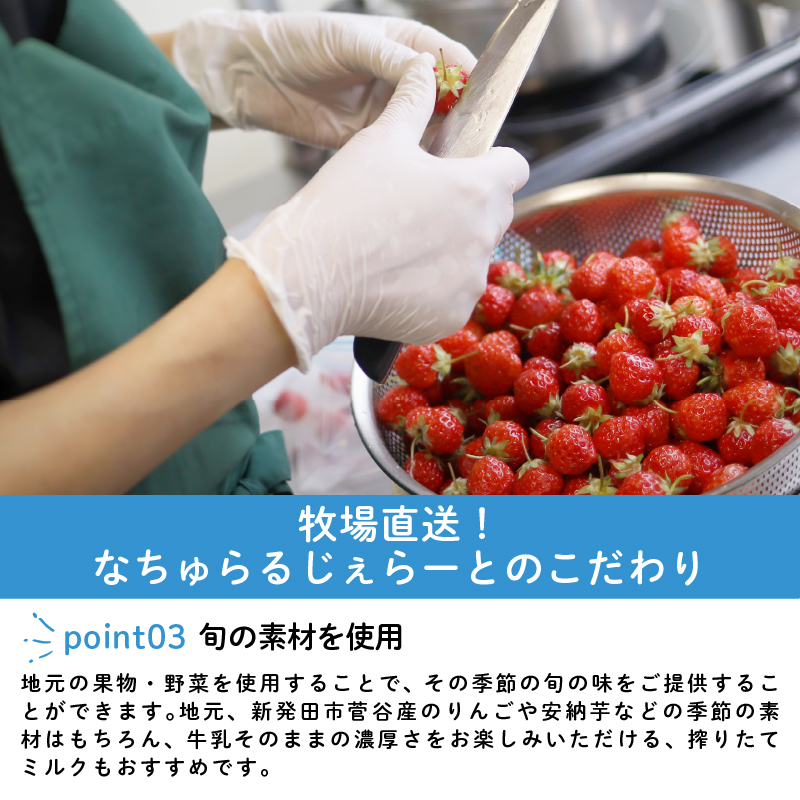 ジェラート  6個入 ミルク ピスタチオ 塩 キャラメル 塩キャラメル いちご 苺 越後姫 ラム レーズン  緑茶 お茶 アイス ジェラート セット 手作り  6個 なちゅらるじぇらーと なかの牧場 新潟 新発田 nakano001 