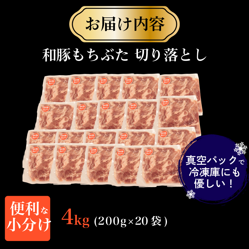 è±è åãèœãšã åè± ãã¡ã¶ã å°éåã 4kg ãã©ã³ãè± åè±ãã¡ã¶ã ãã©ã³ã çŸå³ããè± è±è è ã«ã èæç å€é£ æ©ãã¯ã ããŒã¯ ããã å°åã äŸ¿å© èã®çå±± æ°æœç æ°çºç°åž katayama006