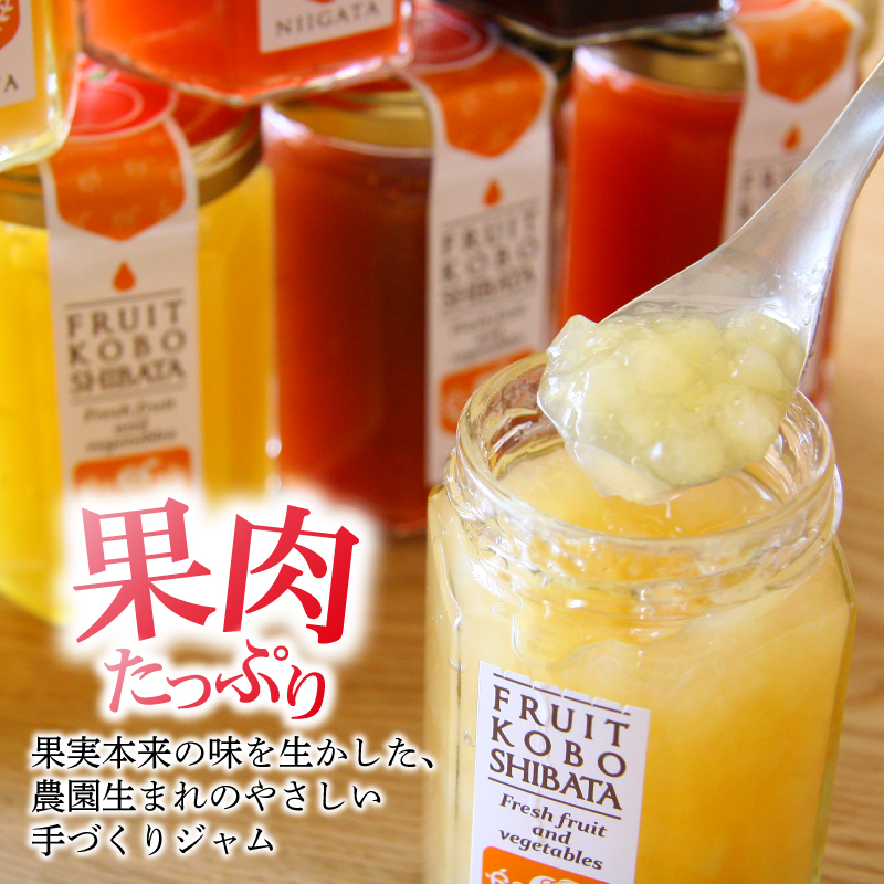 ジャム 6個セット（6種×150g）【自家製 ジャム 詰合せ 手作り 果物 贈り物 ギフト 高橋農園 新潟県 新発田市】 