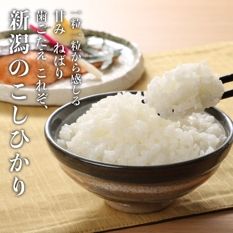 ã12æçºéã æ°æœçç£ ç¹å¥æ œå¹ç±³ ã³ã·ãã«ãª 5kg 什å7å¹Žç£ ããã²ãã ç¹æ œç±³ ç±³ æ°ç±³ æå²¡ æž©æ³ ãç±³ ãã ã飯 ãã¯ã ãããã æ°æœç±³ æ°æœ æ°æœç ç±³ æ°çºç°ç£ æ°æœç£ æé£ æŒé£ å€é£¯ çãã㊠粟米 watasho004_202512