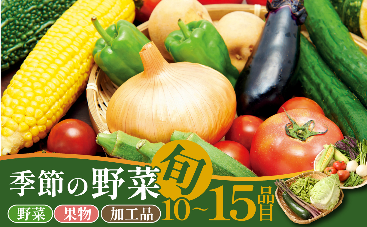野菜 旬 おすすめセット 10~15種類 通年受付 詰め合わせ 加工品 常備菜 アスパラガス かぶ レタス 山菜 トマト きゅうり 枝豆 トウモロコシ なす オクラ かぼちゃ ばれいしょ たまねぎ 里芋 さつまいも 長芋 ごぼう ねぎ ブロッコリー 柿 アスパラ菜 プチベール ケール にんじん えのき 干柿 新潟 新発田 野菜 セット 通年 季節 旬 お楽しみ C31_03