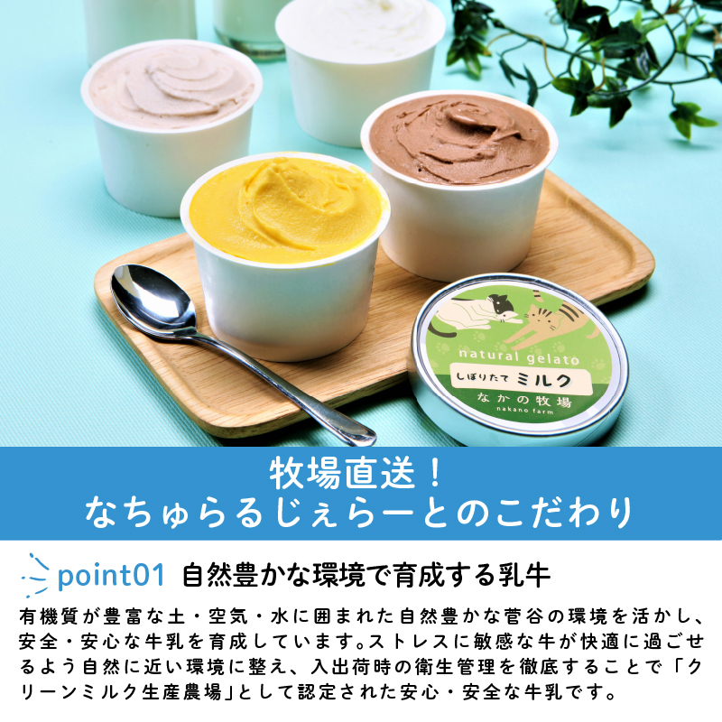 なかの牧場なちゅらるじぇらーとセット ８個入  【 ミルク チョコ ブルーベリー チーズ ピスタチオ 塩 キャラメル アイス ジェラート セット 季節 てづくり なちゅらるじぇらーと なかの牧場 8個 F04_01 】