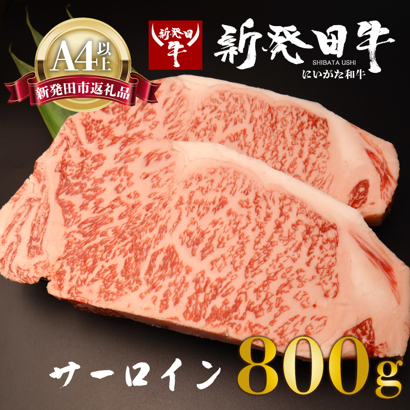 サーロイン ステーキ 牛肉 800g にいがた和牛 和牛 新発田牛 赤身 焼肉 ふるさと納税 和牛 BBQ キャンプ 特選 贅沢 厳選和牛 ブランド牛 ギフト 贈答 お歳暮  新潟 新潟県 新潟産 新発田 新発田市 新発田産 アルビレックス アルビレックス新潟 えのもとミート