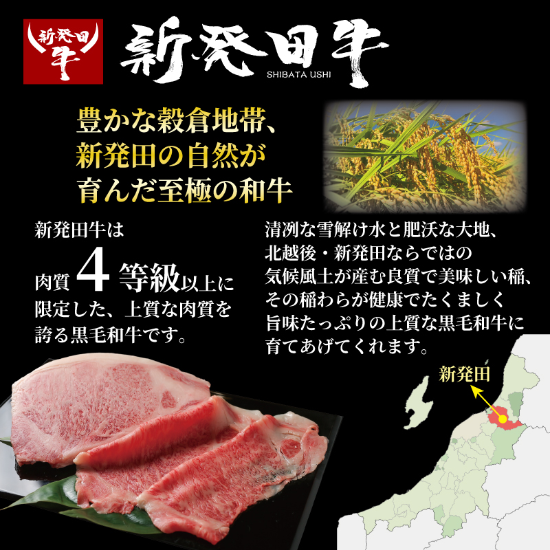 牛肉 肩ロース 200g しゃぶしゃぶ 肉 すき焼き 和牛 霜降り ブランド牛 新発田牛 にいがた和牛 高級 国産 小分け 小間切れ スライス 簡単調理 贈答 お歳暮 新潟県 新発田市 新潟 新発田 10000円 10000 1万円 1万 一万円 一万 アルビレックス アルビレックス新潟 えのもとミート