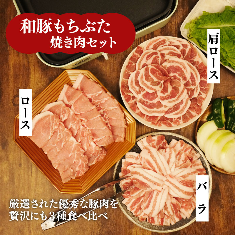 åè± ãã¡ã¶ã çŒè 1.5kg é£ã¹æ¯ã¹ ãã©ã³ãè± çŒèçš åè±ãã¡ã¶ã ãã©ã³ã ãã© ããŒã¹ è©ããŒã¹ ã°ã è±ãã© çŸå³ããè± è±è è ã«ã èæç å€é£ æ©ãã¯ã ããŒã¯ ããã çŒãè ããŒããã¥ãŒ ãã¿ ãã¿è èã®çå±± æ°æœç æ°çºç°åž katayama002