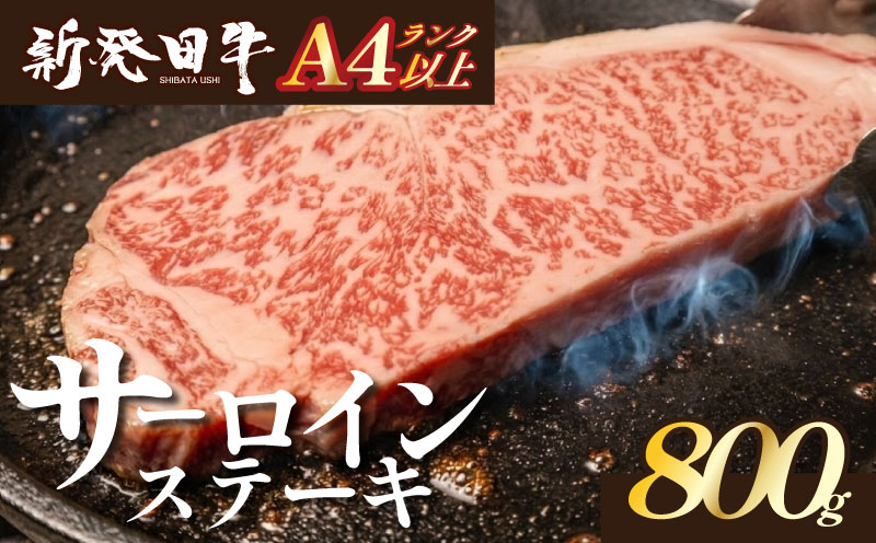 サーロイン ステーキ 牛肉 800g にいがた和牛 和牛 新発田牛 赤身 焼肉 ふるさと納税 和牛 BBQ キャンプ 特選 贅沢 厳選和牛 ブランド牛 ギフト 贈答 お歳暮  新潟 新潟県 新潟産 新発田 新発田市 新発田産 アルビレックス アルビレックス新潟 えのもとミート