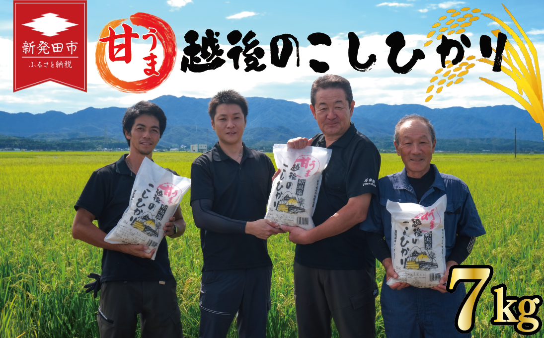 先行予約 こしひかり 白米 7kg 令和7年産 新米 甘うま越後の コシヒカリ 米 お米 こめ 新潟米 新潟県産 新潟産 新潟 新潟県 新発田産 新発田 新発田市 斗伸 toushin006_02